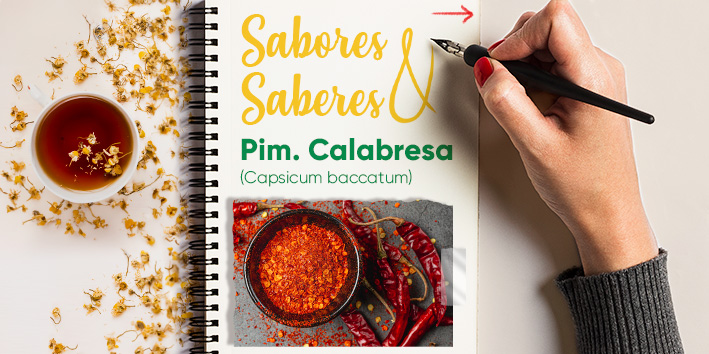 Sabores e saberes: Pimenta calabresa